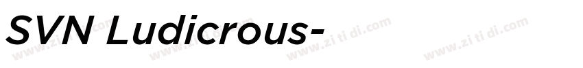 SVN Ludicrous字体转换